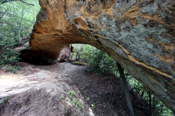 Indian Arch