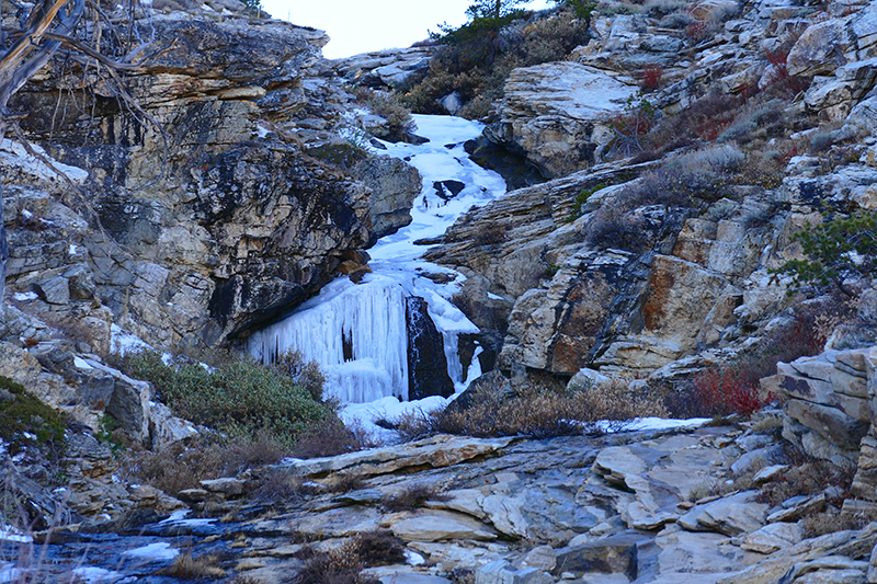 Island Lake Trail - Ruby Mountains [Lamoille Canyon]