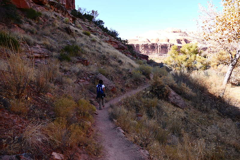 Jackson's Trail [Moab]