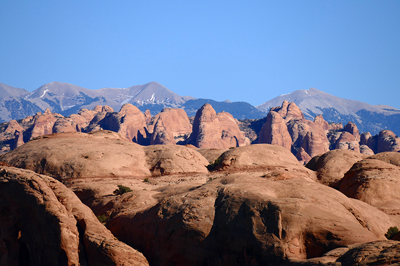 Jackson's Trail [Moab]