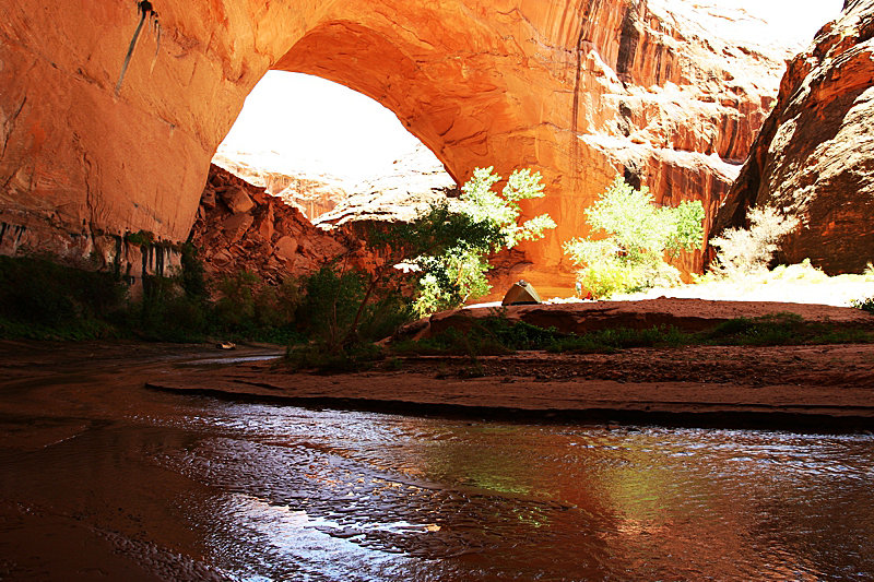 Jacob Hamlingl Arch aka. Lobo Arch