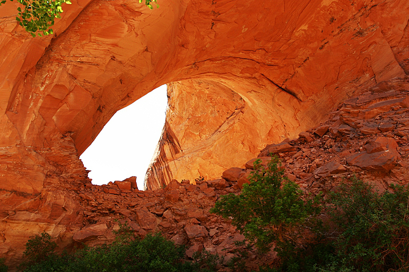 Jacob Hamlingl Arch aka. Lobo Arch