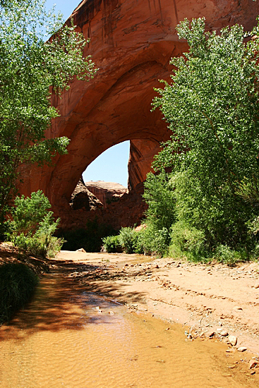 Jacob Hamlingl Arch aka. Lobo Arch