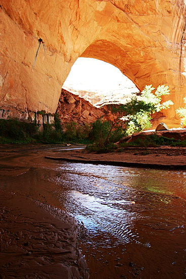 Jacob Hamlingl Arch aka. Lobo Arch