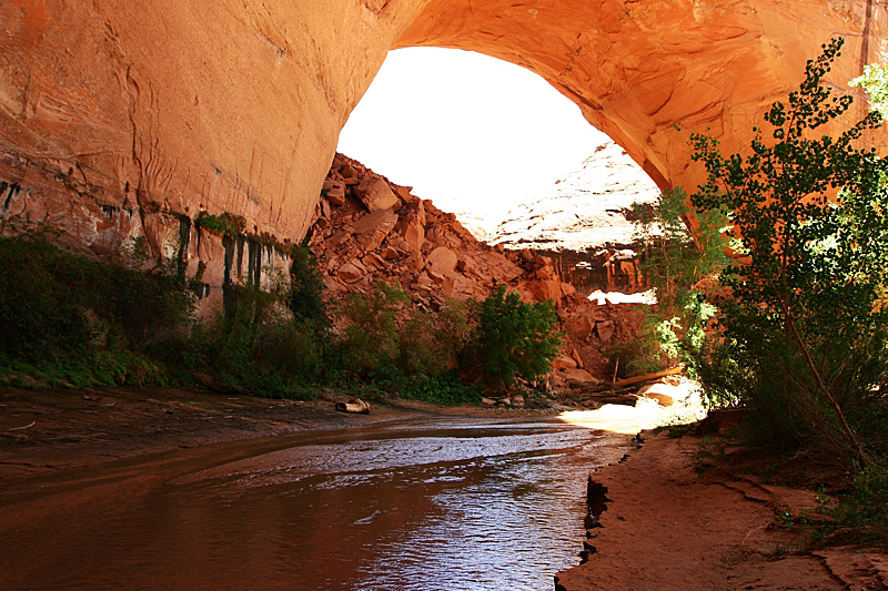 Jacob Hamlingl Arch aka. Lobo Arch