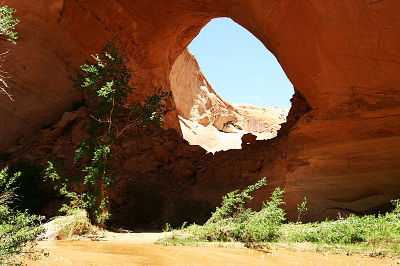 Jacob Hamlingl Arch aka. Lobo Arch