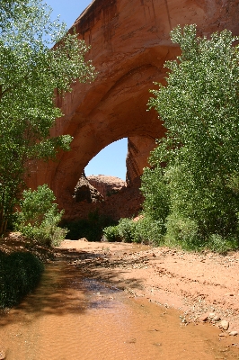 Coyote Gulch