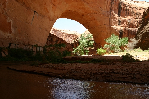 Coyote Gulch