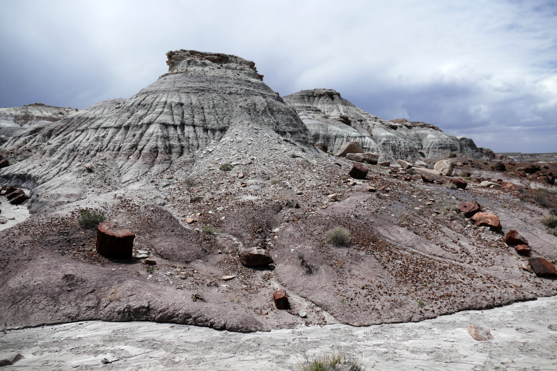 Jasper Forest [Petrified Forest National Park]