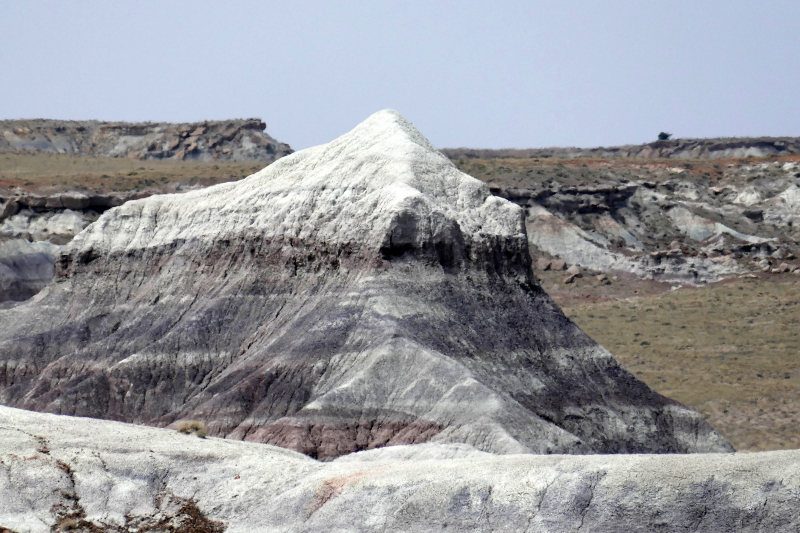 Jasper Forest [Petrified Forest National Park]
