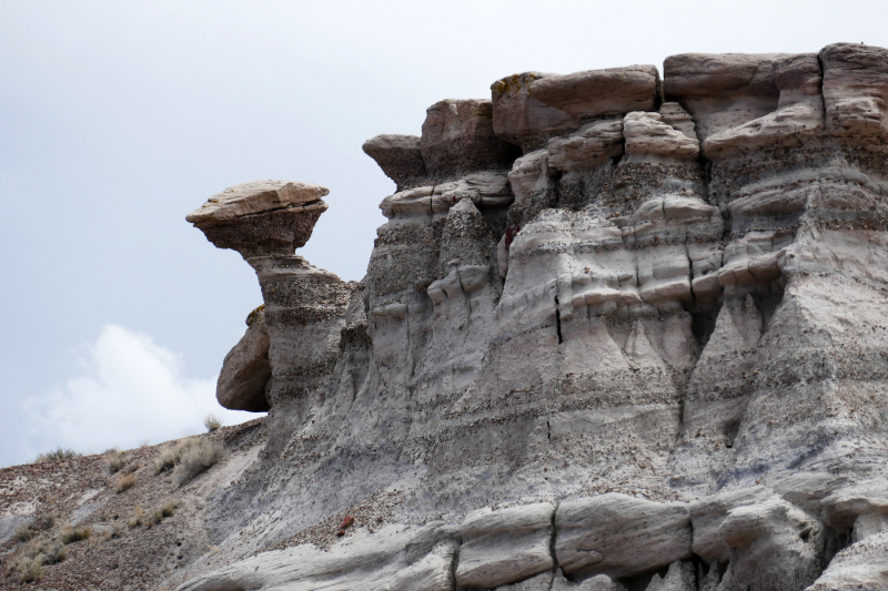 Jasper Forest [Petrified Forest National Park]