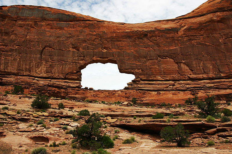 Jeep Arch