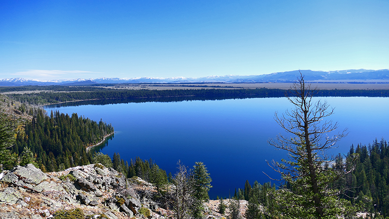 Jenny Lake from Inspiration Point