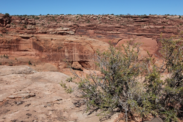 Jewel Tibbetts Arch aka. Hell Roaring Window [Hell Roaring Canyon]