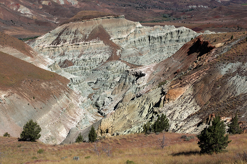 Blue Basin Overlook, Island in Time [John Day Fossil Beds NM - Sheep Rock Unit]