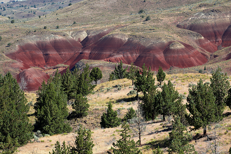 John Day Fossil Beds National Monument