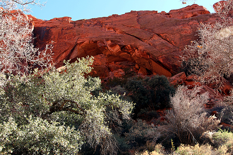 Johnson Canyon Arch