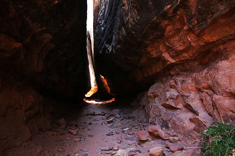 Joint Canyon [Canyonlands National Park]