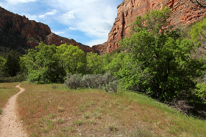 Jones Hole Creek