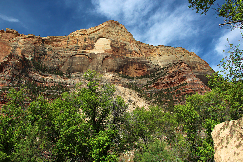 Jones Hole Creek