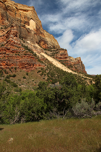 Jones Hole Creek