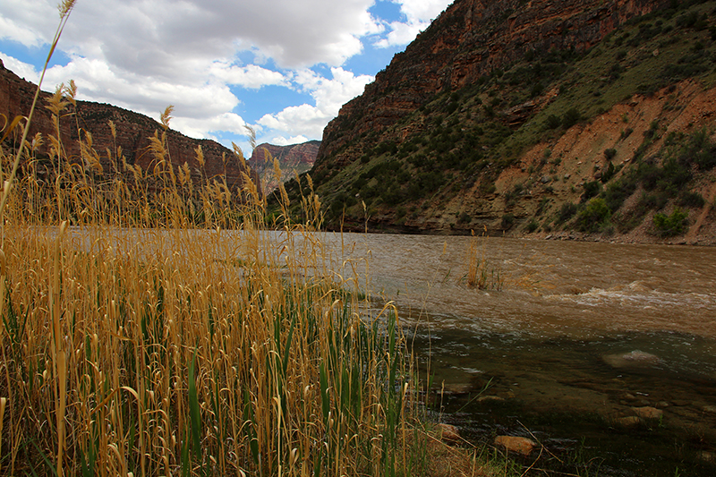 Jones Hole Creek Green River