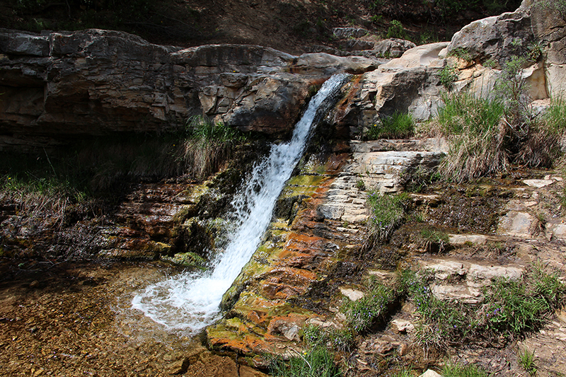 Jones Hole Creek