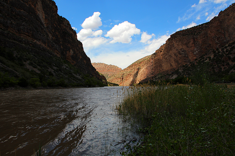 Jones Hole Creek