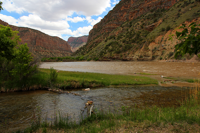 Jones Hole Creek