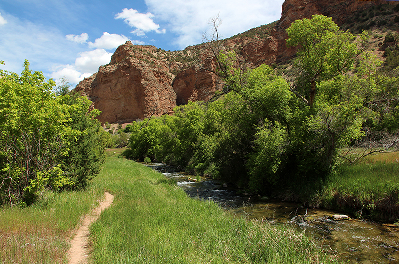 Jones Hole Creek