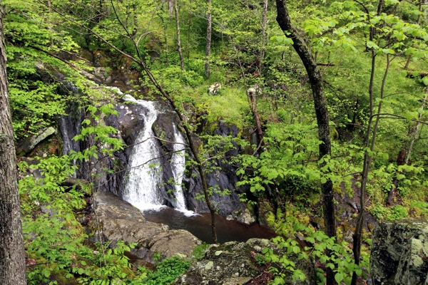 Jones Run Falls [Shenandoah National Park]