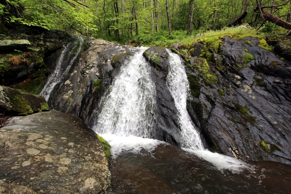 Jones Run Falls [Shenandoah National Park]