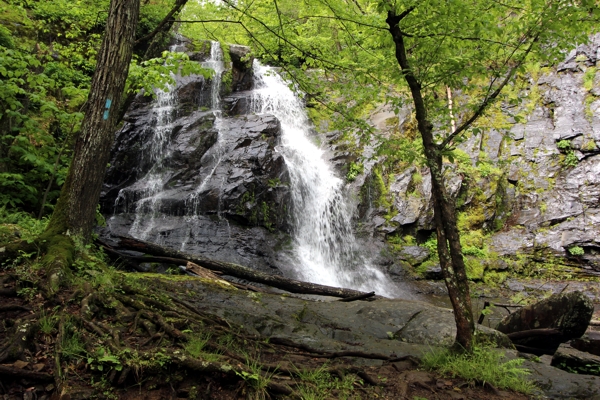 Jones Run Falls [Shenandoah National Park]