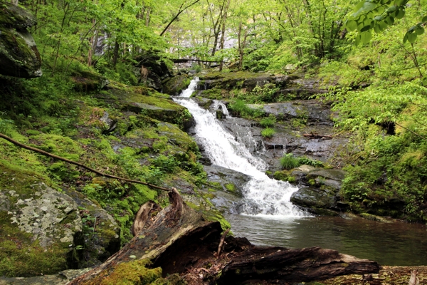 Jones Run Falls [Shenandoah National Park]