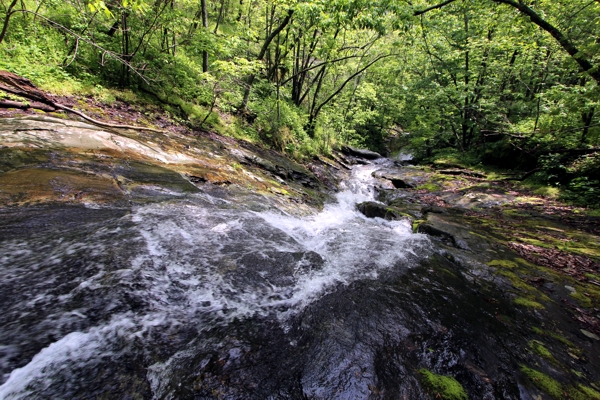 Jones Run Falls [Shenandoah National Park]