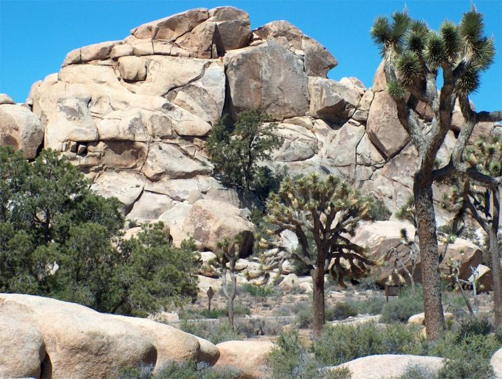 Joshua Tree National Park