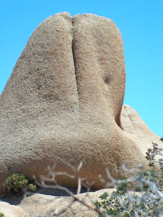 Joshua Tree National Park