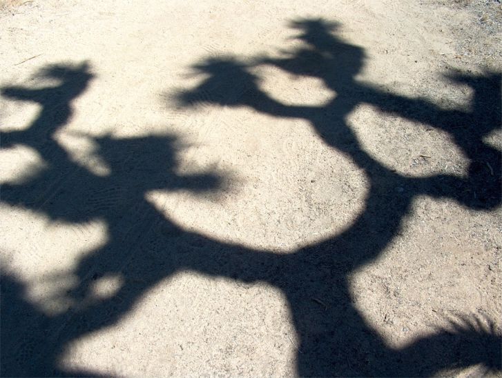 Joshua Tree National Park