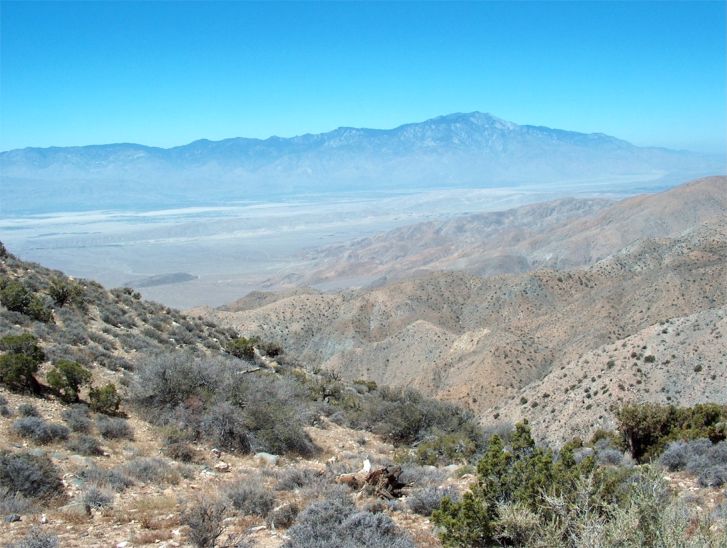 Joshua Tree National Park