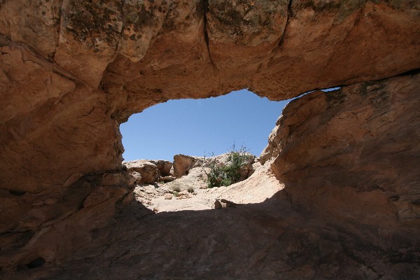 Juniper Arch