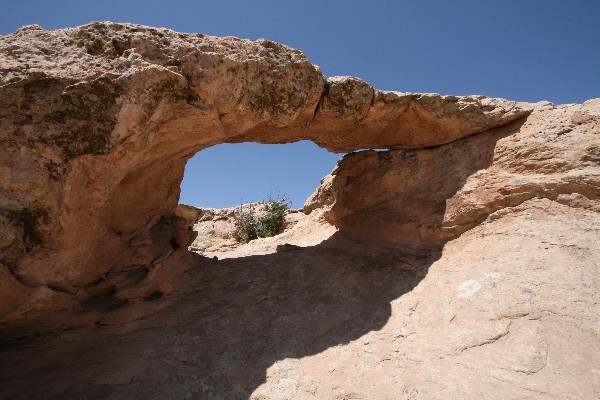 Juniper Arch