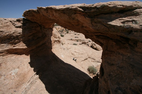 Juniper Arch