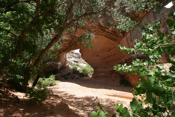 Kachina Natural Bridge