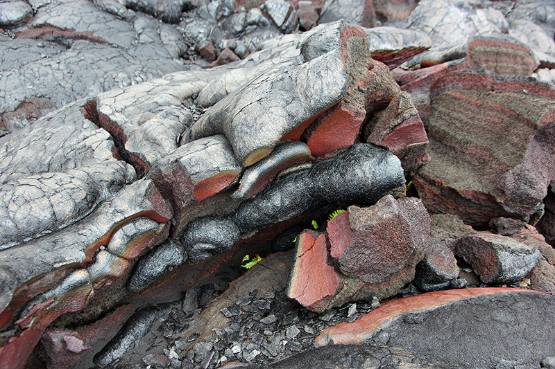 Kamoamoa Lava Flow Hawaii Big Island