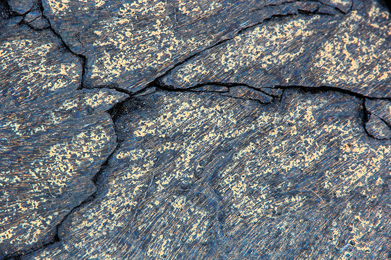 Kamoamoa Lava Flow Hawaii Big Island