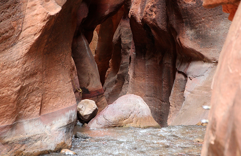 Kanarra Creek [Hurricane Cliffs]