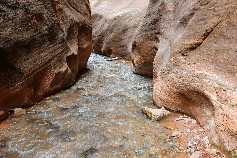 Kanarra Creek [Hurricane Cliffs]