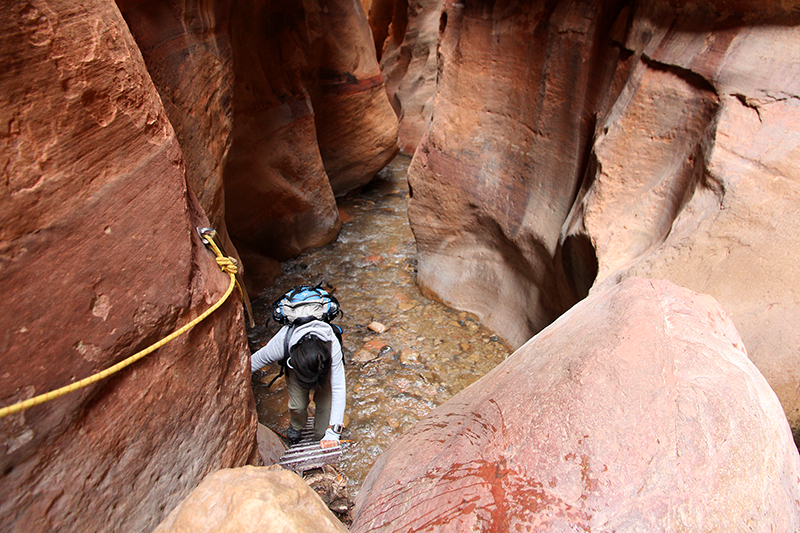 Kanarra Creek [Hurricane Cliffs]