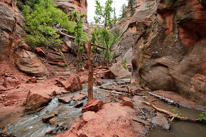 Kanarra Creek [Hurricane Cliffs]