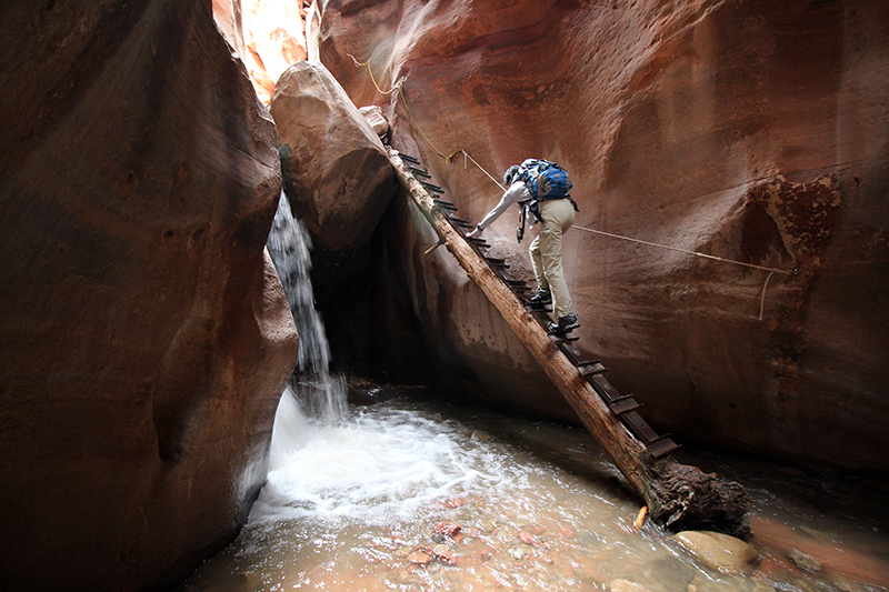 Kanarra Creek [Hurricane Cliffs]